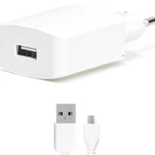 Dolphin Micro USB Charger
