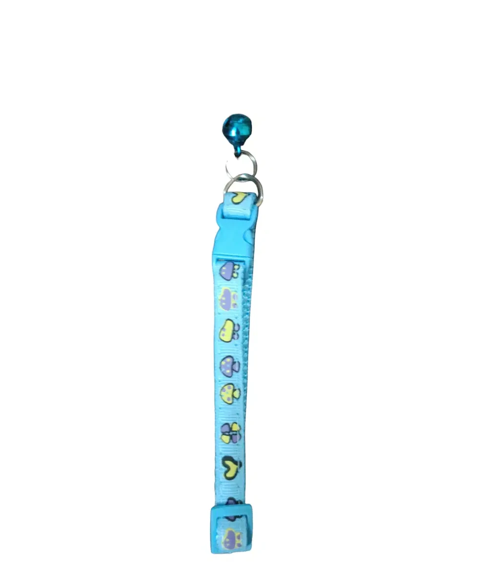 Nylon collar for adult cats, light blue