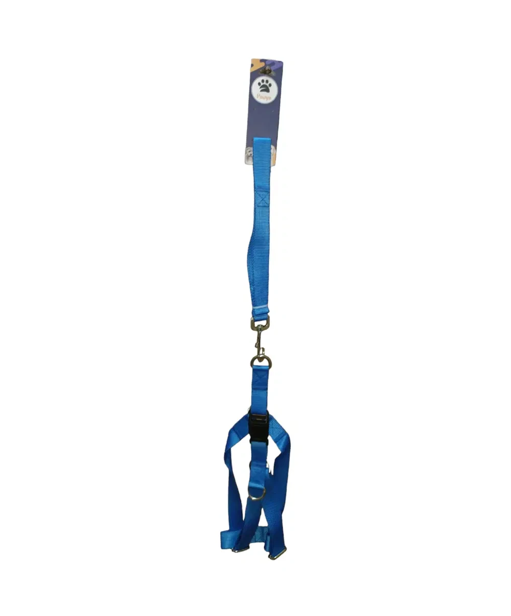 Nylon harness and leash set, blue, medium size for dogs