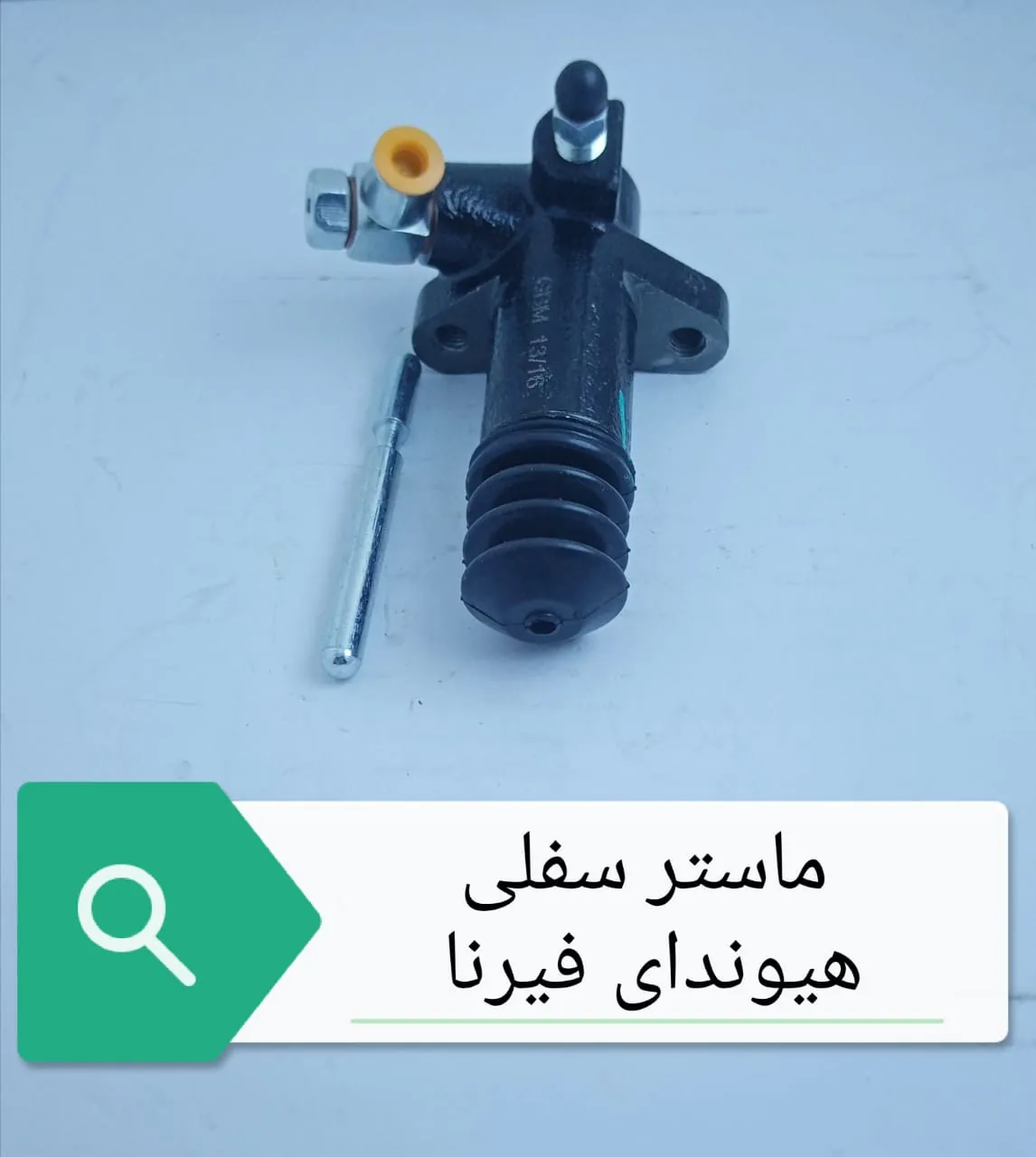 ماستر سفلى فيرنا