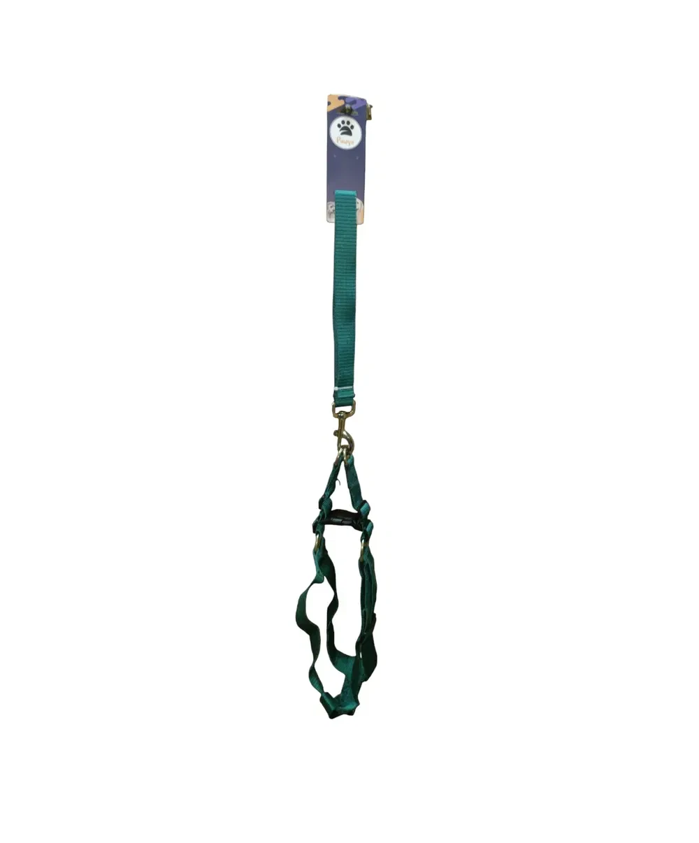 Green nylon harness and leash set, large size for dogs