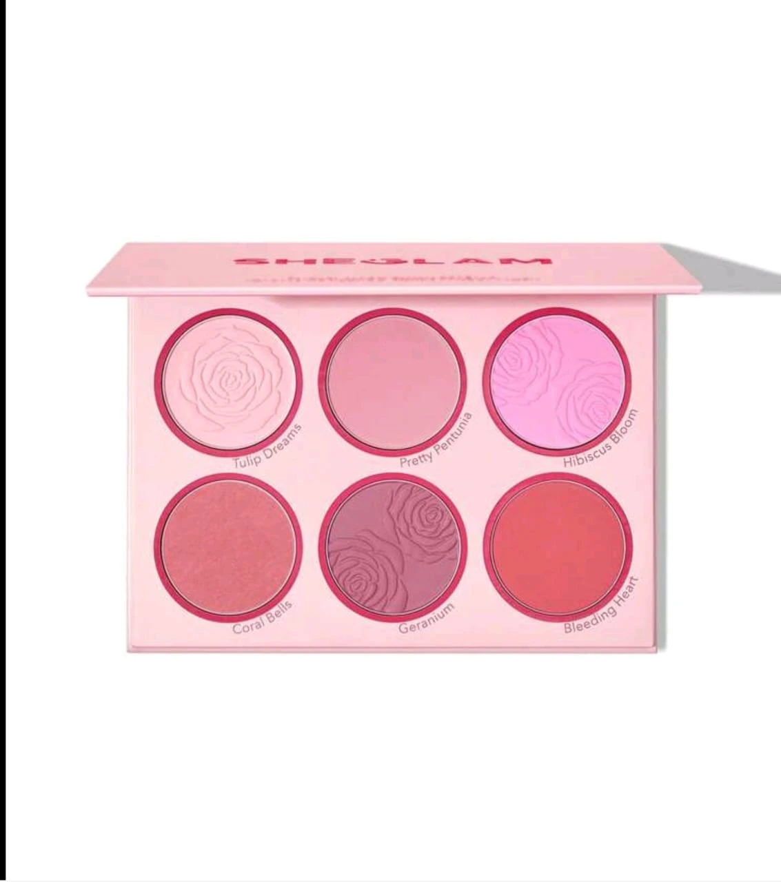 SHEGLAM Bags & Blush Palettes