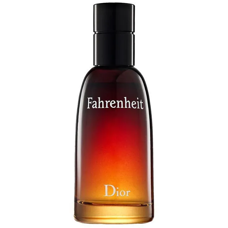 Fahrenheit by Dior for Men - 100ml - Master Box