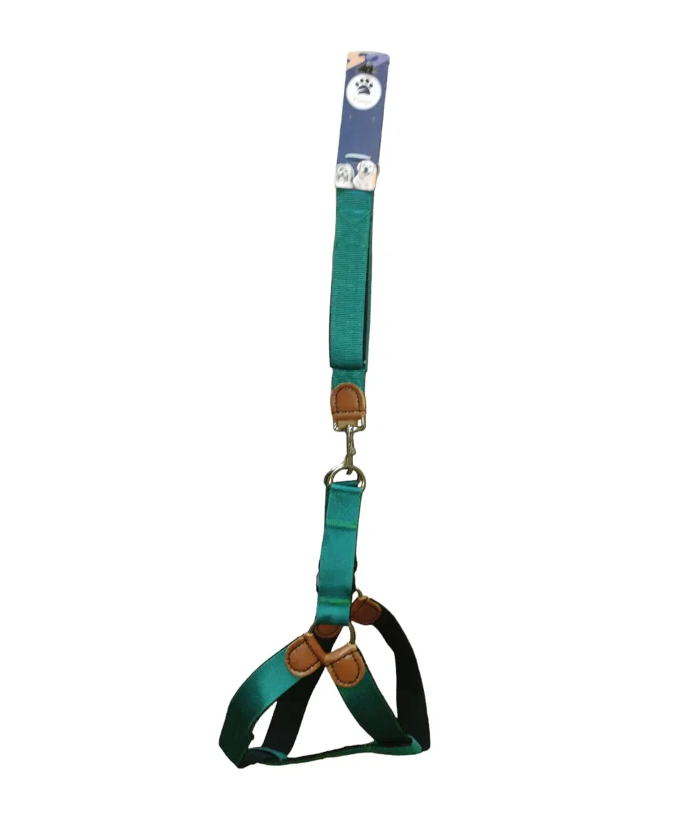 Green lined nylon harness and leash set, size XL for dogs
